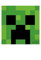 TOVAGLIOLI MINECRAFT PZ.20